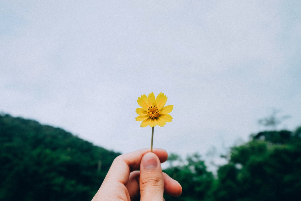出軌后該如何經(jīng)營自己的婚姻